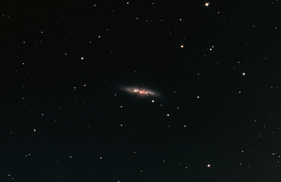 M82